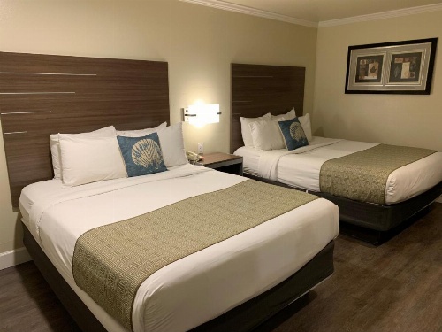 El Castell Motel image 14