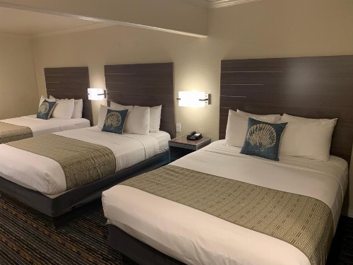 El Castell Motel image 19