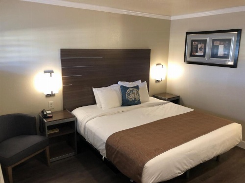 El Castell Motel image 9